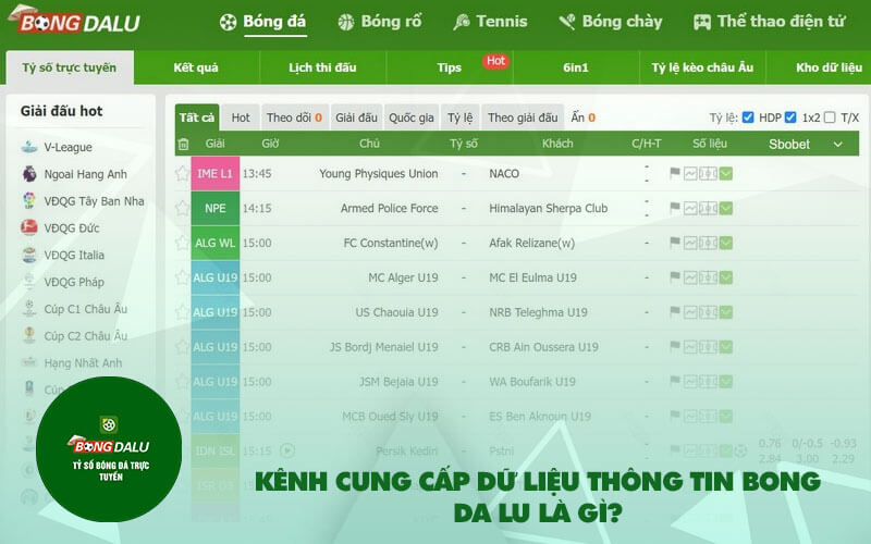 Kenh cung cap du lieu thong tin bong da lu la gi Kênh cung cấp dữ liệu thông tin bong da lu là gì?
