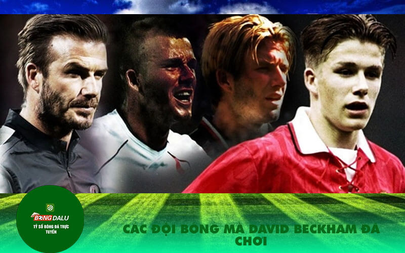 Cac doi bong ma David Beckham da choi Các đội bóng mà David Beckham đã chơi