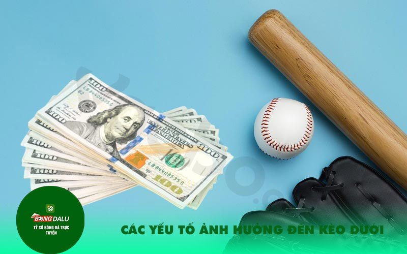 Cac yeu to anh huong den keo duoi Các yếu tố ảnh hưởng đến kèo dưới