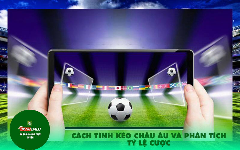 Cach tinh keo Chau Au va phan tich ty le cuoc Cách tính kèo Châu Âu và phân tích tỷ lệ cược