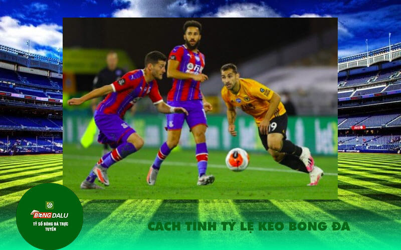 Cach tinh ty le keo bong da Cách tính tỷ lệ kèo bóng đá