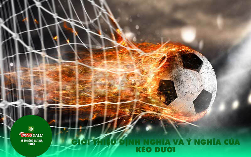 Gioi thieu dinh nghia va y nghia cua keo duoi Giới thiệu định nghĩa và ý nghĩa của kèo dưới