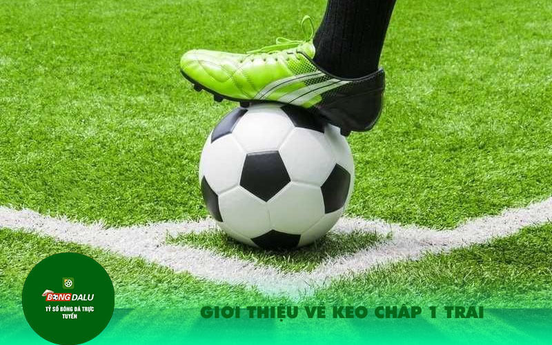 Gioi thieu ve keo chap 1 trai Giới thiệu về kèo chấp 1 trái