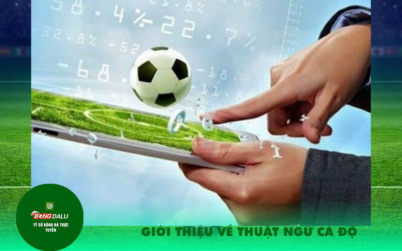Gioi thieu ve thuat ngu ca do Giới thiệu về thuật ngữ cá độ