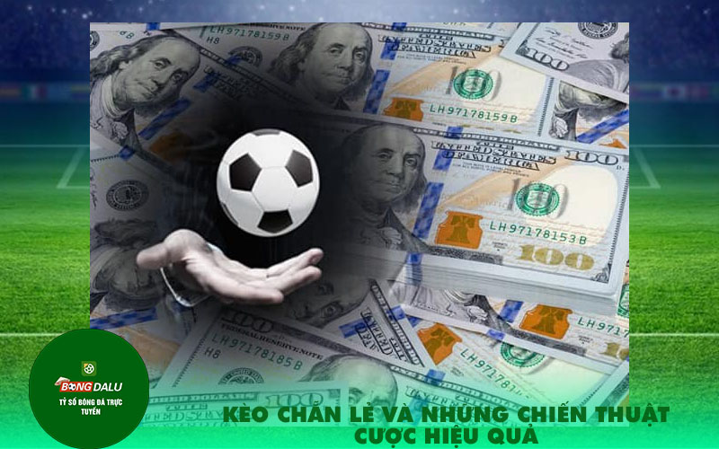 Keo chan le va nhung chien thuat cuoc hieu qua Kèo chẵn lẻ và những chiến thuật cược hiệu quả