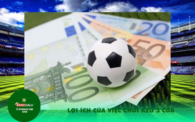 Loi ich cua viec choi keo 3 cua Lợi ích của việc chơi kèo 3 cửa