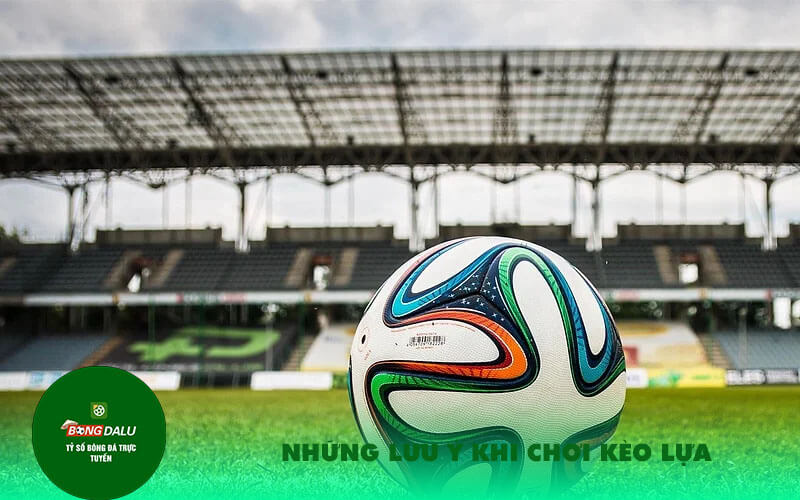 Nhung luu y khi choi keo lua Những lưu ý khi chơi kèo lựa