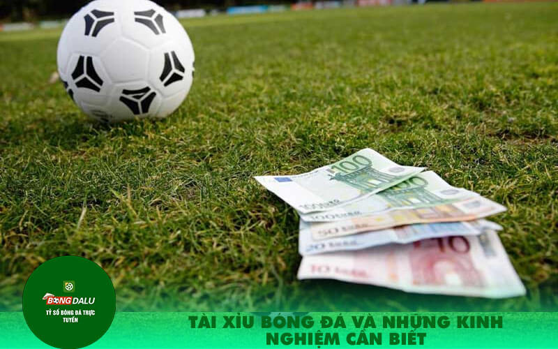 Tai xiu bong da va nhung kinh nghiem can biet Tài xỉu bóng đá và những kinh nghiệm cần biết