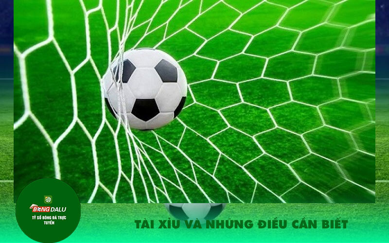 Tai xiu va nhung dieu can biet Tài xỉu và những điều cần biết