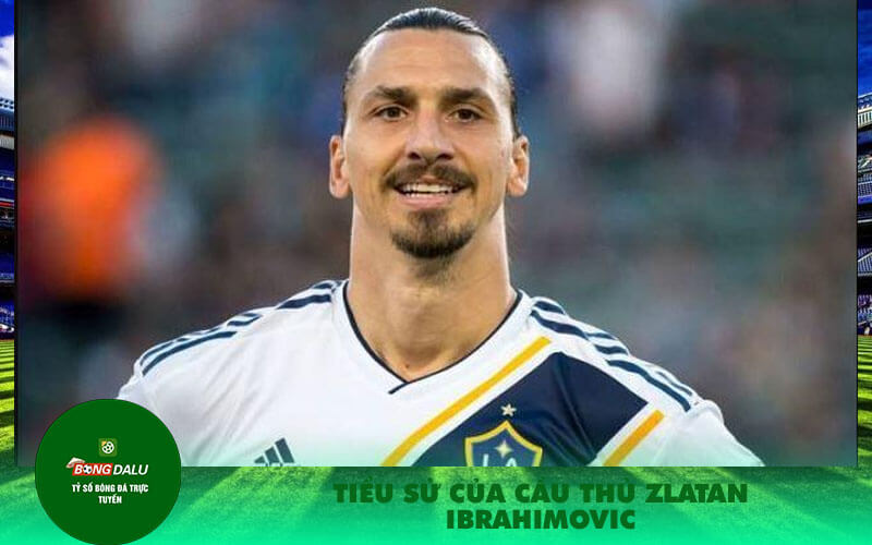 Tieu su cua cau thu Zlatan Ibrahimovic Tiểu sử của cầu thủ Zlatan Ibrahimovic
