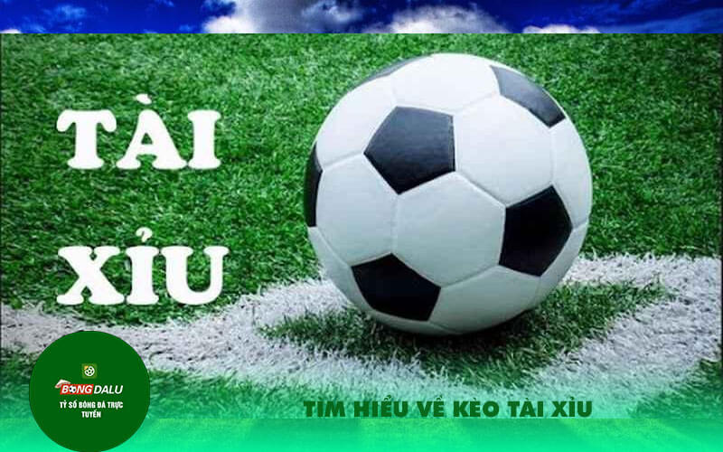 Tim hieu ve keo tai Tìm hiểu về kèo tài xỉu