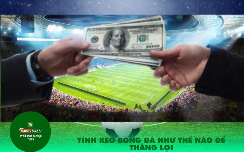 Tinh keo bong da nhu the nao de thang loi Tính kèo bóng đá như thế nào để thắng lợi