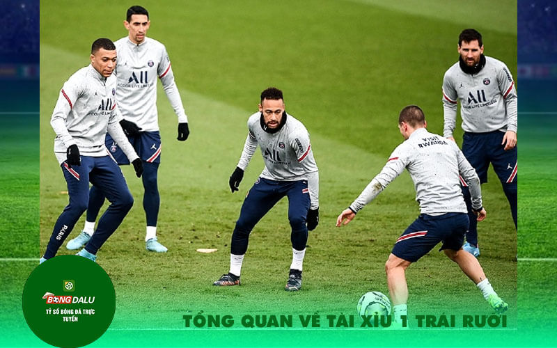 Tong quan ve Tai Xiu 1 Trai Ruoi Tổng quan về Tài Xỉu 1 Trái Rưỡi