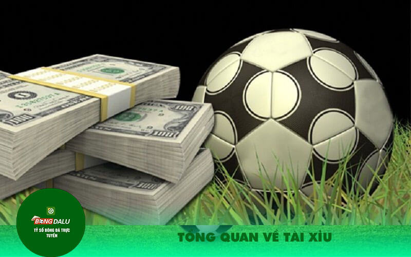 Tong quan ve Tai Tổng quan về Tài xỉu