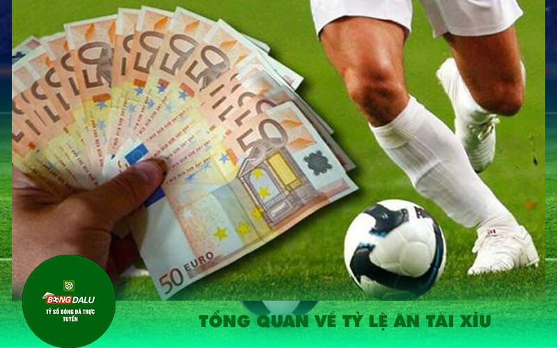 Tong quan ve Ty le an tai Tổng quan về Tỷ lệ ăn tài xỉu