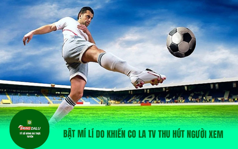 COLATV15 Những thông tin về trang web