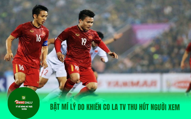 COLATV16 Bật mí lý do khiến Colatv trực tiếp bóng đá thu hút người xem