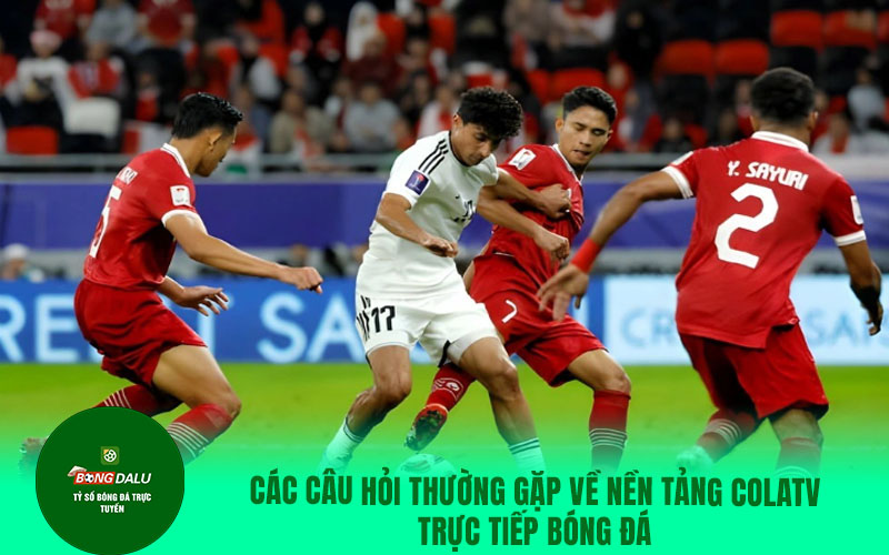 COLATV17 Các câu hỏi thường gặp về nền tảng Colatv trực tiếp bóng đá