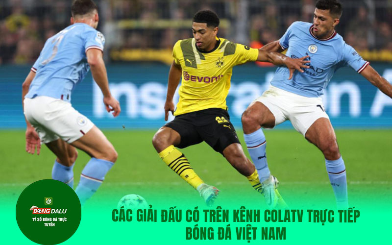 COLATV8 Các giải đấu có trên kênh Colatv trực tiếp bóng đá Việt Nam