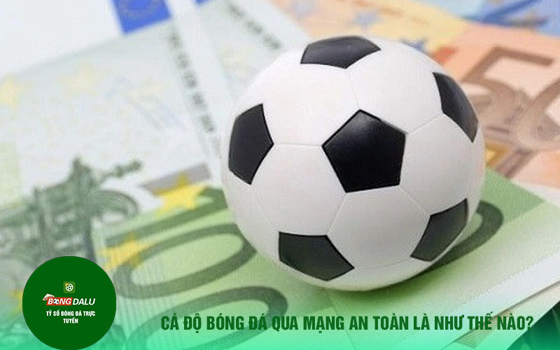 ca do qua mang 1 Cá độ bóng đá qua mạng an toàn là như thế nào?