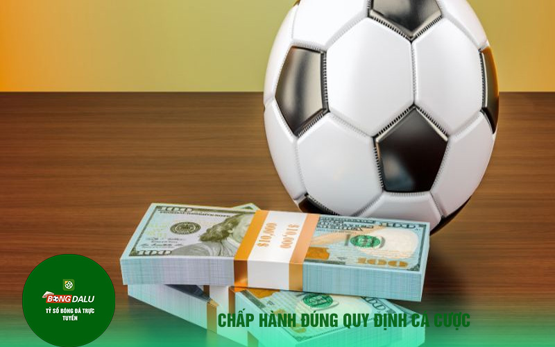 ca do qua mang 2 Chấp hành đúng quy định cá cược