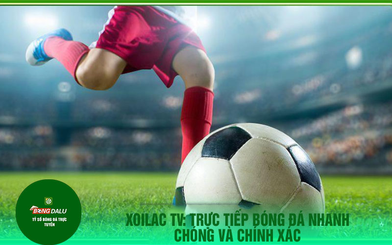 cm 5 Xoilac TV: Trực tiếp bóng đá nhanh chóng và chính xác