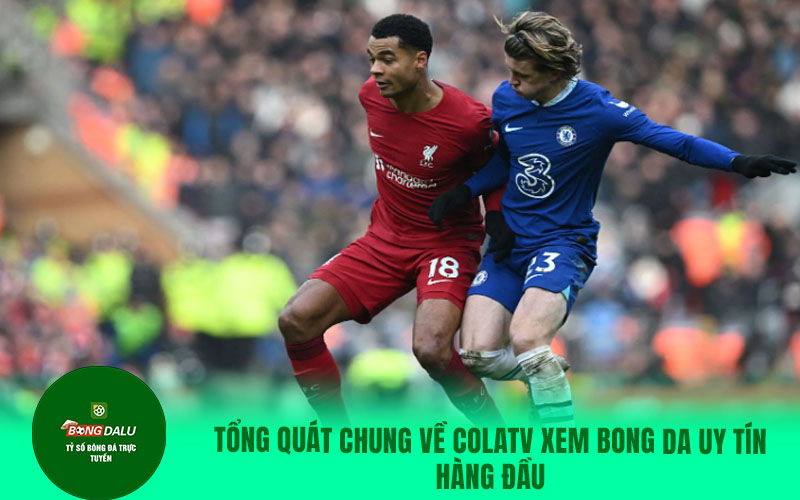 colatv24 Tổng quát chung về Colatv xem bong da uy tín hàng đầu