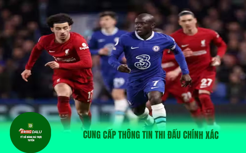 colatv25 Cung cấp thông tin thi đấu chính xác