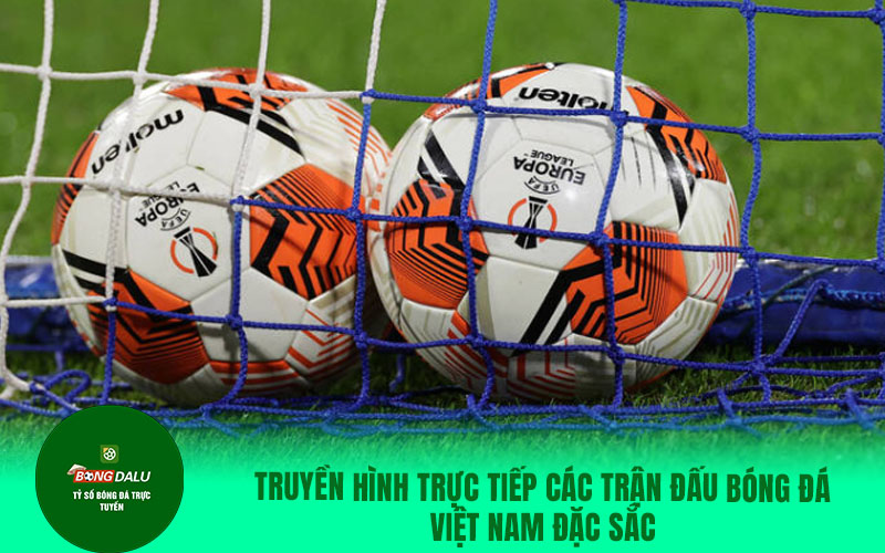 colatv28 Truyền hình trực tiếp các trận đấu bóng đá Việt Nam đặc sắc