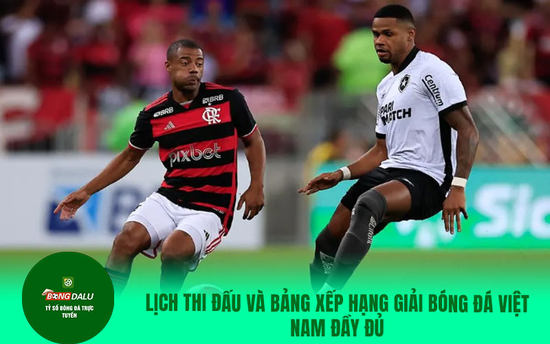 colatv29 Lịch thi đấu và bảng xếp hạng giải bóng đá Việt Nam đầy đủ