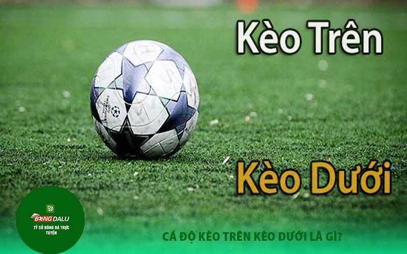 keo tren keo duoi Cá Độ Kèo Trên Kèo Dưới Là Gì?