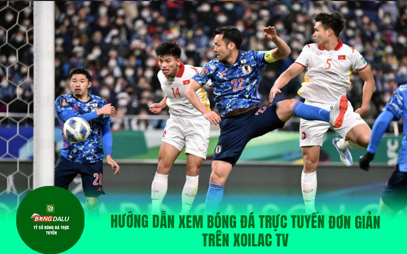 lu5 Hướng dẫn xem bóng đá trực tuyến đơn giản trên Xoilac TV