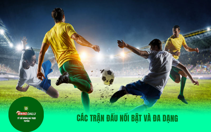 lu8 Các trận đấu nổi bật và đa dạng