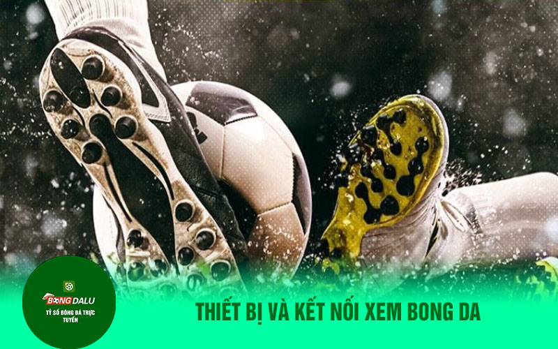 Hướng dẫn theo dõi bóng đá trực tiếp
