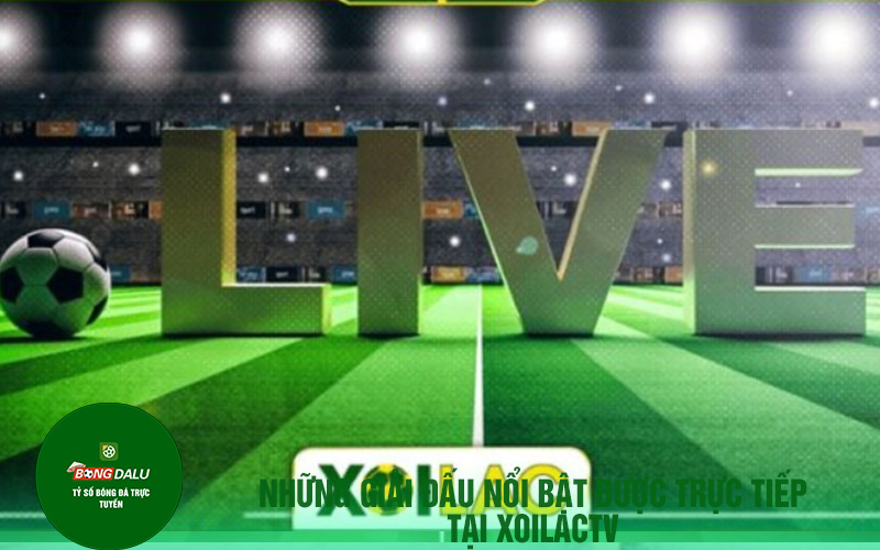 Những giải đấu nổi bật được trực tiếp tại Xoilactv