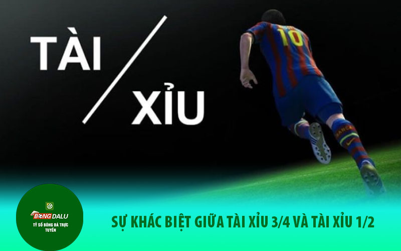 2 Sự khác biệt giữa tài xỉu 3/4 và tài xỉu 1/2