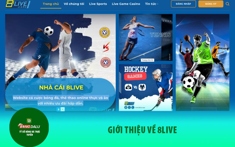 8live Giới thiệu về 8LIVE