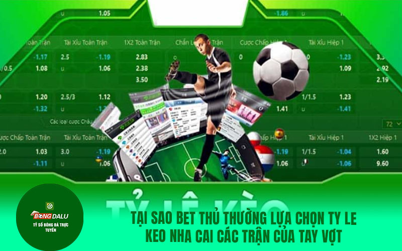 QUANG VINH1 Tại sao bet thủ thường lựa chọn ty le keo nha cai các trận của tay vợt Tennis Quang Vinh?