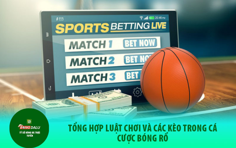 ca cuoc bong da1 Tổng hợp các kèo cược xanh xin nhất trong cá cược bóng rổ