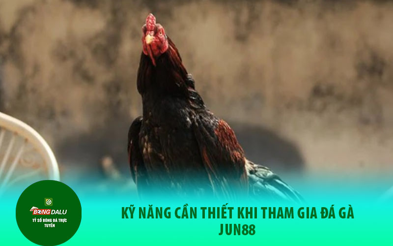 da ga2 Kỹ năng cần thiết khi tham gia đá gà Jun88