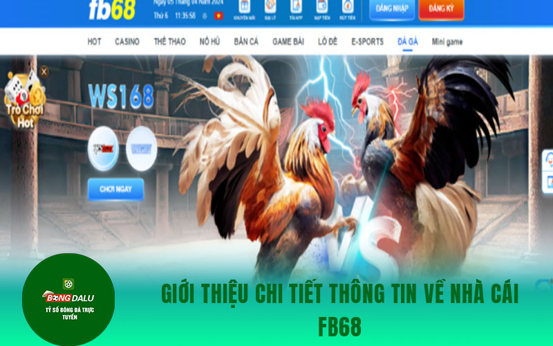 fb68 Giới thiệu chi tiết thông tin về nhà cái fb68