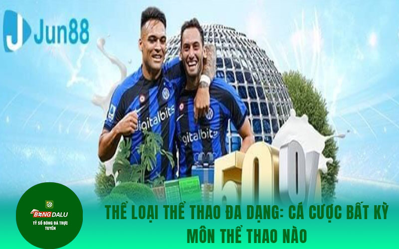 jun88 1 Thể loại thể thao đa dạng: cá cược bất kỳ môn thể thao nào