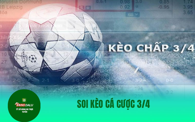 keo 3 42 Soi kèo cá cược 3/4