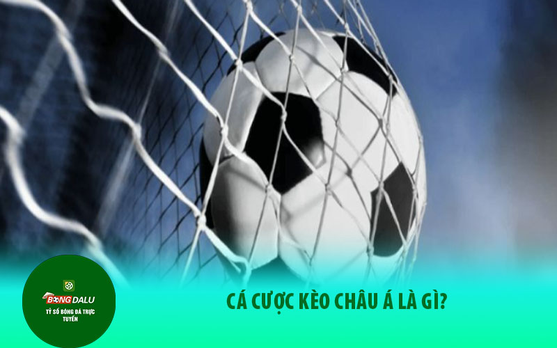 keo chau a 1 Tìm hiểu đôi nét về kèo Châu Á