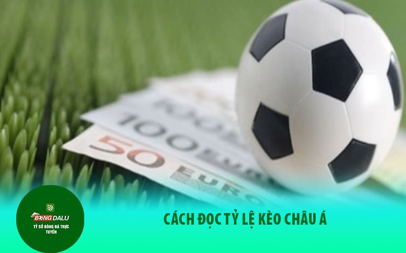 keo chau a 2 Cách đọc kèo Asia hiệu quả chính xác nhất