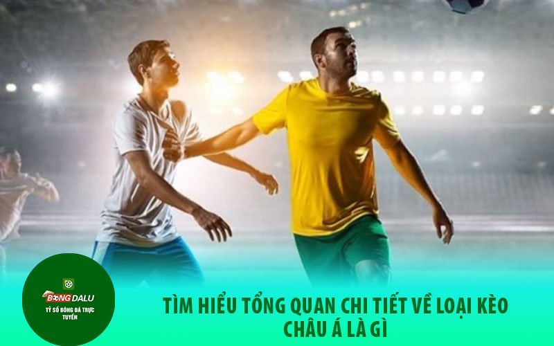 keo chau a Tìm Hiểu Tổng Quan Chi Tiết Về Loại Kèo Châu Á Là Gì