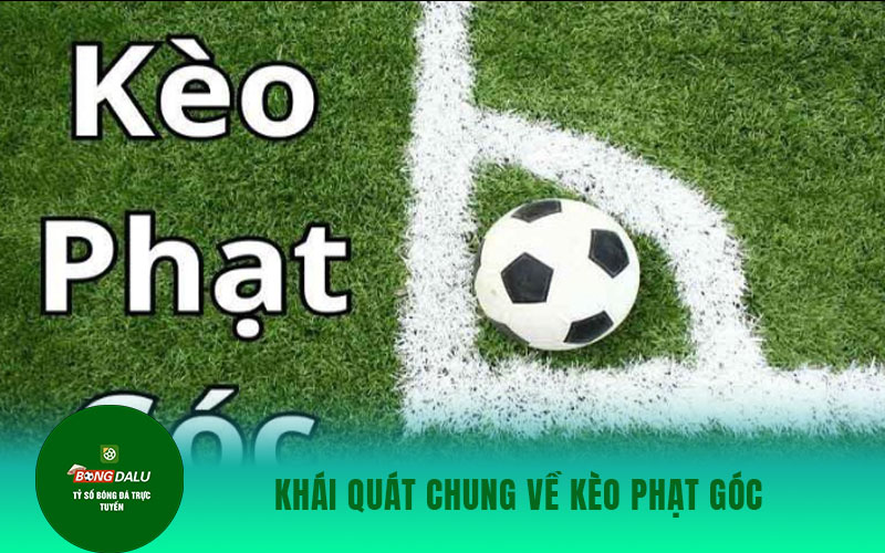 keo phat goc Khái quát chung về kèo phạt góc
