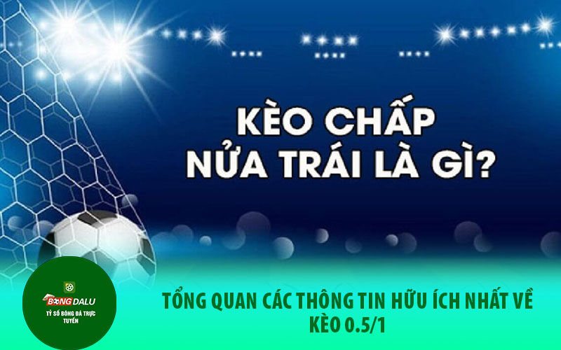 keo0.5 Tổng quan các thông tin hữu ích nhất về kèo 0.5/1