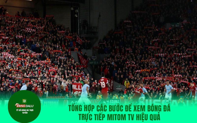 mitom16 Tổng hợp các bước để xem bóng đá trực tiếp Mitom TV hiệu quả