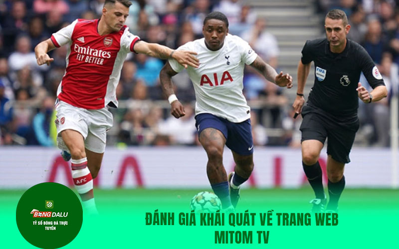 mitom18 Đánh giá khái quát về trang web Mitom TV